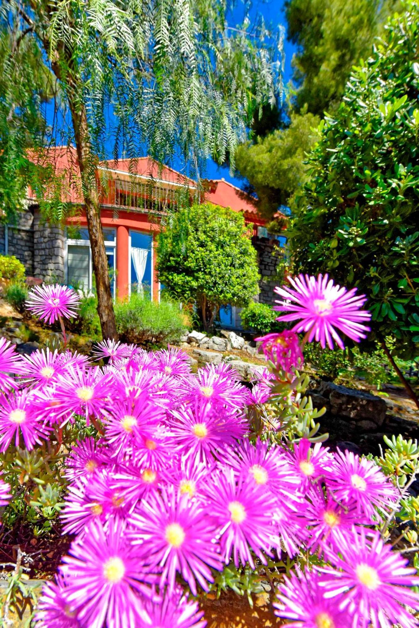 Appartements Avec Jardin Dans Villa Rocaille Cassis Eksteriør bilde